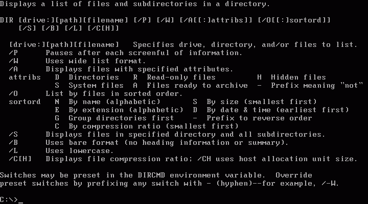 MS Dos Window