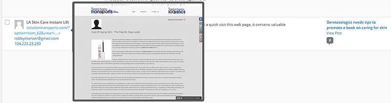 Sample WordPress Spam Comment