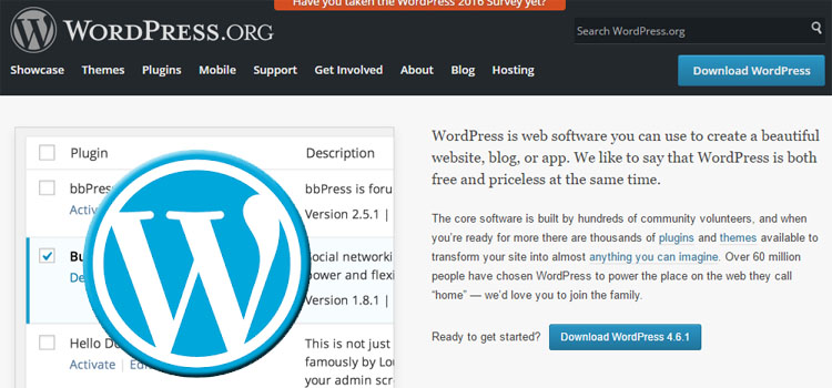 WordPress Website