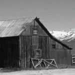 Rustic Black & White Barn and Coral